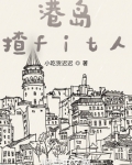 港岛人生小说