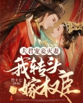 夫君宠妾灭妻，我转头嫁权臣