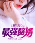 地表最强赘婿苏纳克