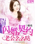 闪婚老公免费阅读全文