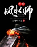 乡野风水师