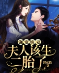 强宠娇妻，夫人该生二胎了