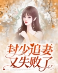 封少追妻又失败了