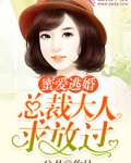 蜜爱逃婚：总裁大人求放过