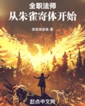 全职法师：从朱雀寄体开始