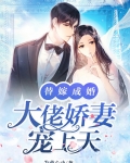 替嫁成婚：大佬娇妻宠上天