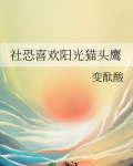 社恐喜欢阳光猫头鹰小说