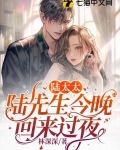 陆太太又在闹离婚免费阅读