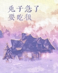 兔子急了要吃狼作者:恶鬼不善