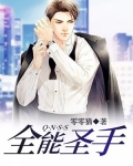 全能圣手 小说