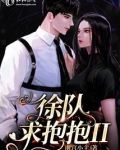 徐队，求抱抱II