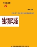 公司股份改革方案