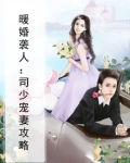 暖婚袭人：司少宠妻攻略