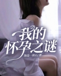小说怀孕的谜团