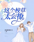 这个校草太会撩江淮