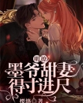 墨爷夫人又轰动全球了简介