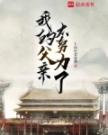 我的父亲太努力了小说