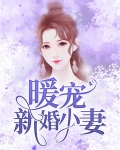 新婚轻宠妻电视剧