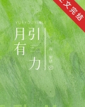 月有引力周梨绪全文阅读