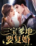 三宝爹地要复婚