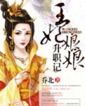 王妃娘娘升职记免费