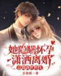 她隐瞒怀孕潇洒离婚，总裁满世界找