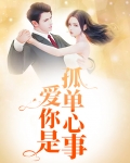爱你是孤单心事