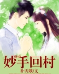 妙手回村免费阅读