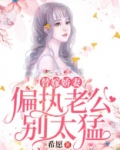 替嫁娇妻:偏执老公别太猛