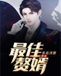 最佳赘婿林羽的结局