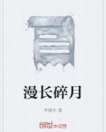漫长碎月