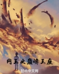 网王重临王座