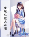 腹黑总裁太缠人免费阅读