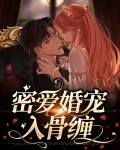 婚宠之四_蜜爱成瘾免费阅读