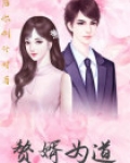 赘婿为道