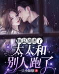 《顾太太别想跑》