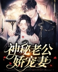 神秘老公娇宠妻