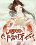 三宝娘亲炸翻京城