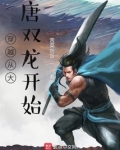 穿越从大唐双龙开始