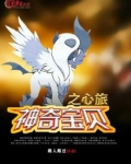 神奇宝贝之新的旅程