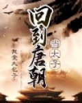 回到唐朝当太子电视剧全集