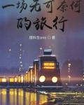 一场无可奈何的旅行