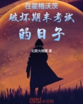 在霍格沃茨当问题学生