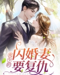 夜少的二婚新宠结局