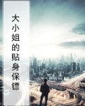 大小姐的贴身保镖叶凌天李雨欣