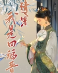 清穿我是四福晋by簪花一朵笔趣阁