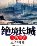 绝境长城上的王者百度百科