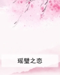 璧瑶的小说