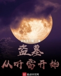 盗墓从听雷开始捡宝箱第八区