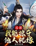 反派，我能掠夺他人机缘！